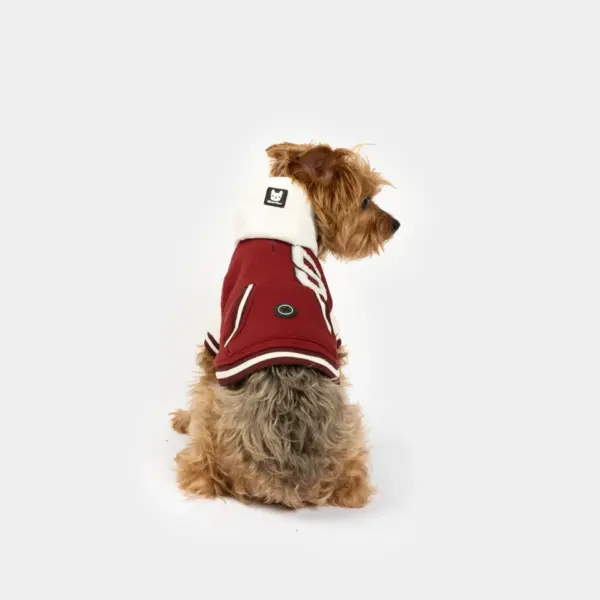 Otis Dog Letterman Jacket Varsity-Inspired Bomber with Hood & Leash Access - Image 6
