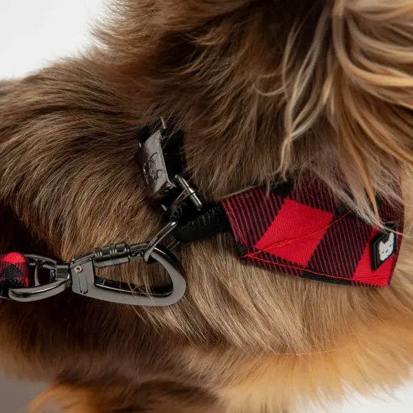 Red Plaid Poplin Dog Leash Stylish, Durable & Secure - Image 2