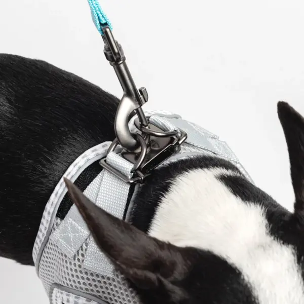 Step-In Dog Harness No-Pull Breathable Mesh Vest with Secure Buckle (Grey) - Image 3