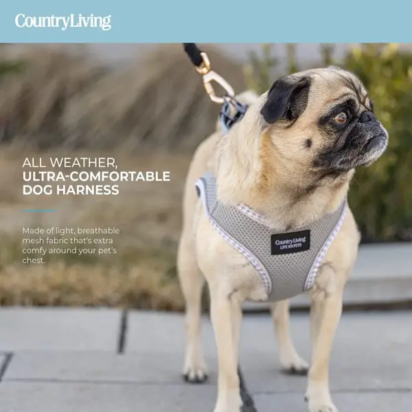 Step-In Dog Harness No-Pull Breathable Mesh Vest with Secure Buckle (Grey) - Image 6