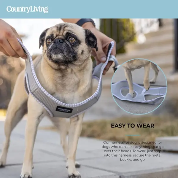 Step-In Dog Harness No-Pull Breathable Mesh Vest with Secure Buckle (Grey) - Image 8