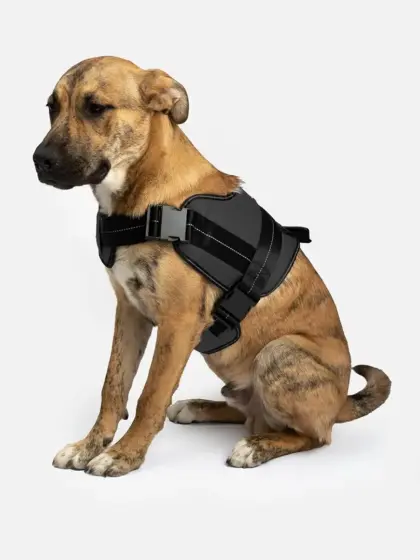 Heavy Duty Dog Harness Black | Adjustable, Durable & Reflective