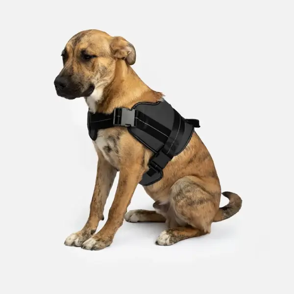 Heavy Duty Dog Harness Black | Adjustable, Durable & Reflective