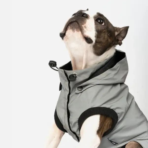Max Reflective Raincoat | Water-Resistant & High-Visibility Dog Jacket - Image 5