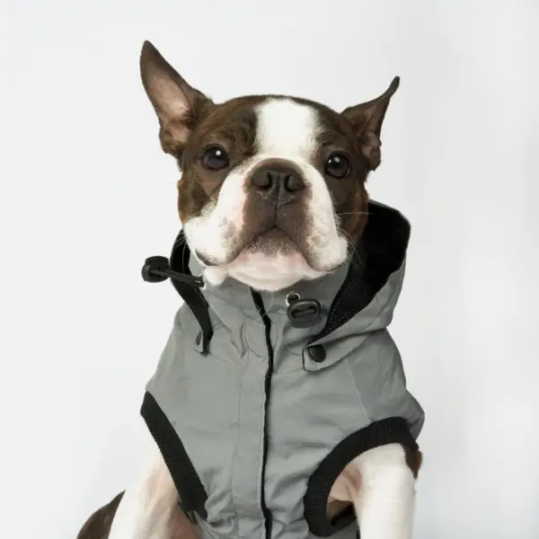 Max Reflective Raincoat | Water-Resistant & High-Visibility Dog Jacket - Image 8