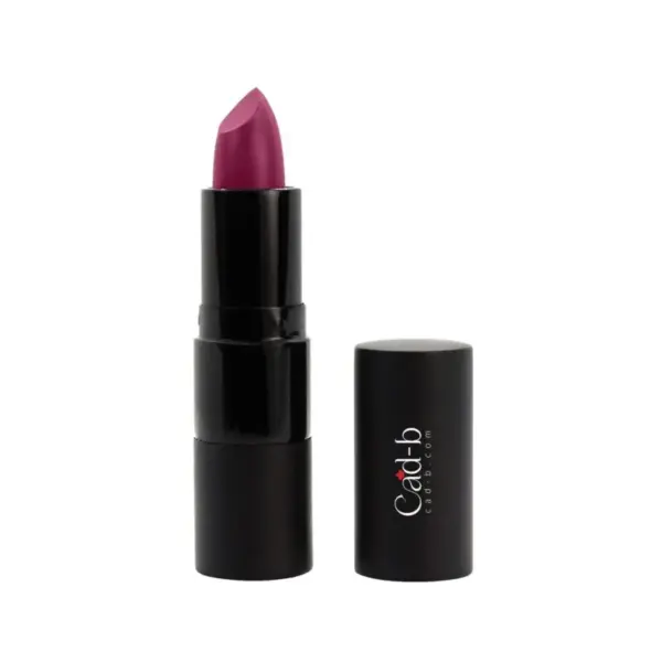 Lipstick Passion - P042 | Vegan, Paraben Free, Vitamin E intensifies lip hydration - Image 2