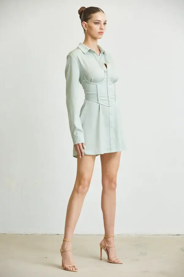 Audrey Shirt Dress + Corset - Image 2