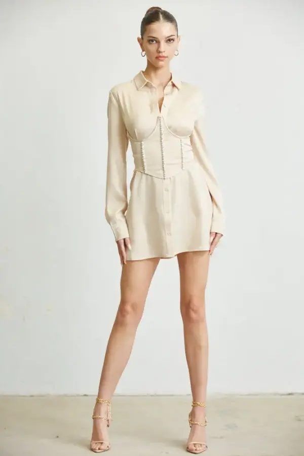 Audrey Shirt Dress + Corset - Image 7