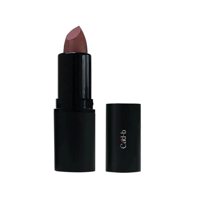 Lipstick - Spicy Rum - P025 | Paraben Free, Cruelty Free - Image 2