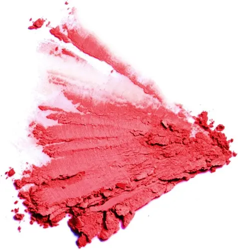 Flori Roberts Color Pro Powder Blush - Image 3