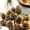 Mini Pine Cone, 9 Rattan Wood Reed Diffusers Replacement Sticks, 16 pk