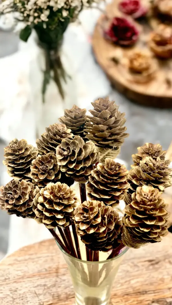 Mini Pine Cone, 9 Rattan Wood Reed Diffusers Replacement Sticks, 16 pk