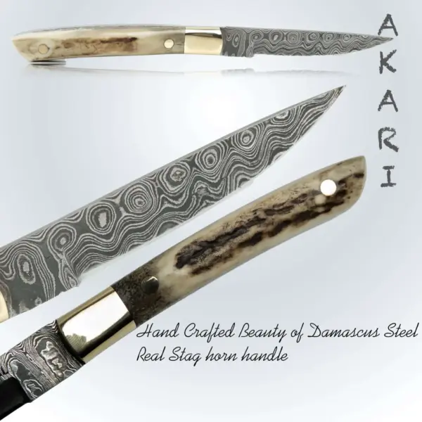 AKARI Skinner Knife 3.5 inch with Stag Horn Handle and Original Leather Sheath - Image 4