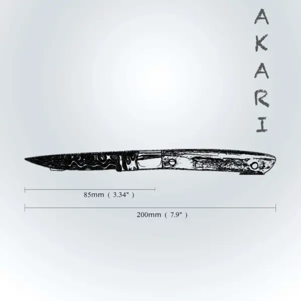 AKARI Skinner Knife 3.5 inch with Stag Horn Handle and Original Leather Sheath - Image 5