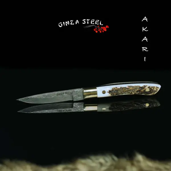 AKARI Skinner Knife 3.5 inch with Stag Horn Handle and Original Leather Sheath - Image 7
