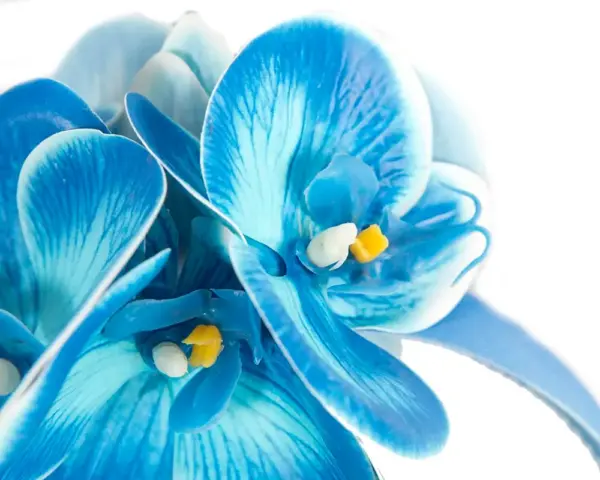 Bespoke blue orchid flower headband by Fillies Collection - Image 3