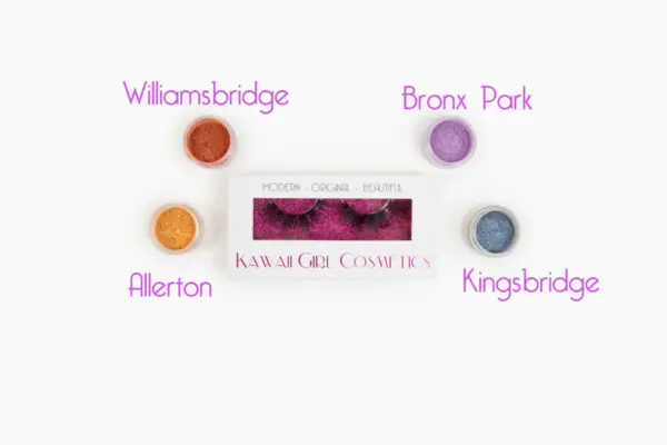 The Bronx Borough Kit - Image 2