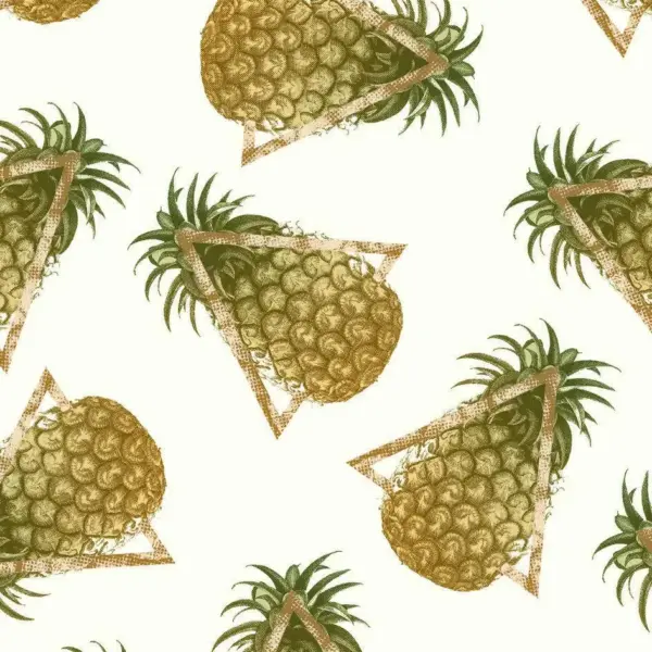 Pineapple and Triangles Cushion/Pillow - Image 2