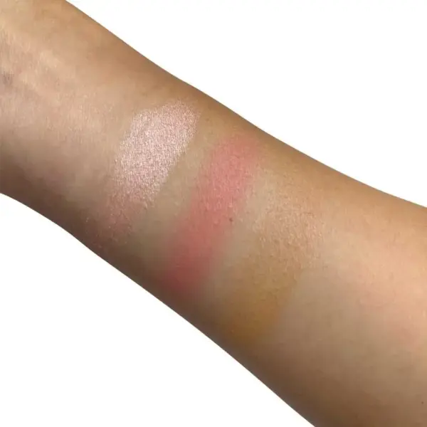 Pro Cheek Palette in both Matte and Shimmer Shades - Blushy - PCP51 | Vegan, Cruelty Free, Paraben Free, Talc Free - Image 2