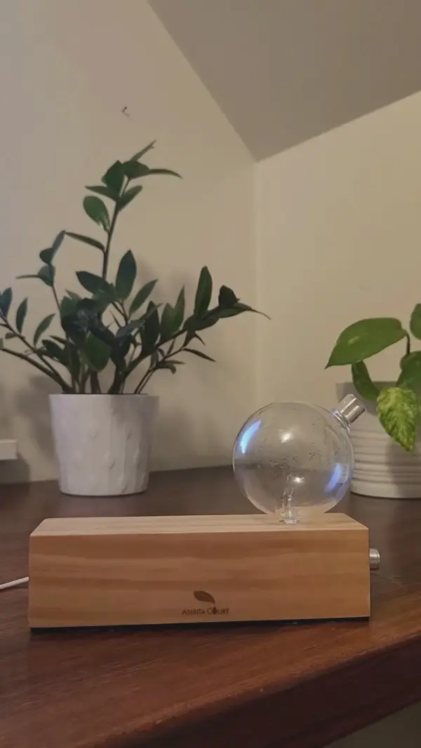 Geo Series "Oblong" Nebuliser | Waterless Aroma Diffuser | No Plastics Pure Essential Oil Diffusing - Image 3