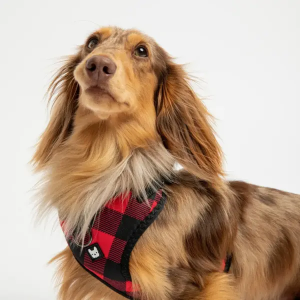 Red Plaid Poplin Dog Harness Adjustable, Secure & Stylish - Image 3