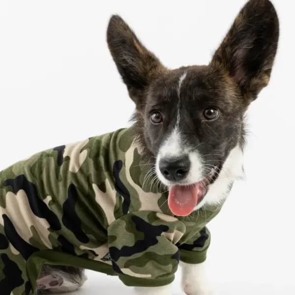 Camo Dog Pajamas Cozy & Stylish Matching PJs for Your Pup!