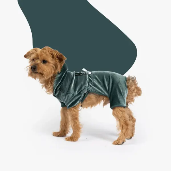 Coco Velour Dog Pajamas Ultra-Soft & Cozy PJs in Teal