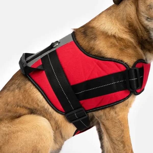 Heavy Duty Dog Harness Red | Adjustable, Durable & Reflective - Image 7