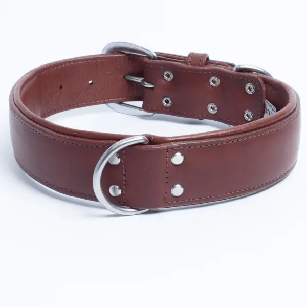 Dallas Collar - Image 3