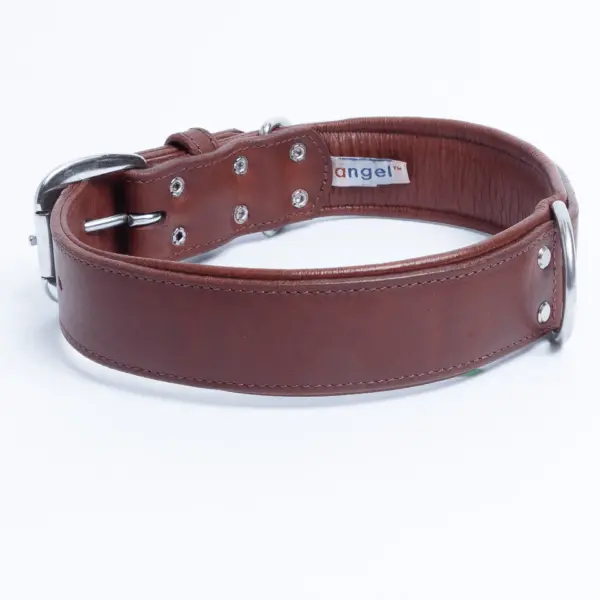 Dallas Collar - Image 6