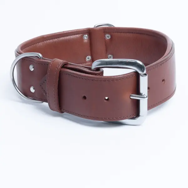 Dallas Collar - Image 14