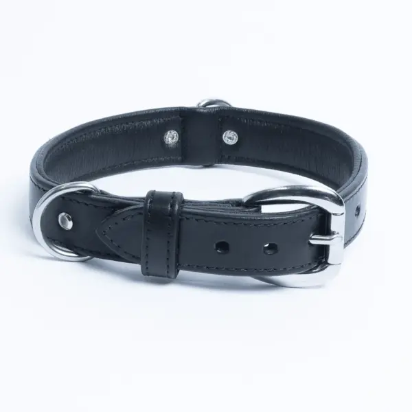 Dallas Collar - Image 21
