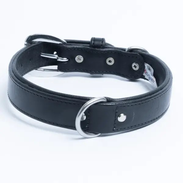 Dallas Collar - Image 22