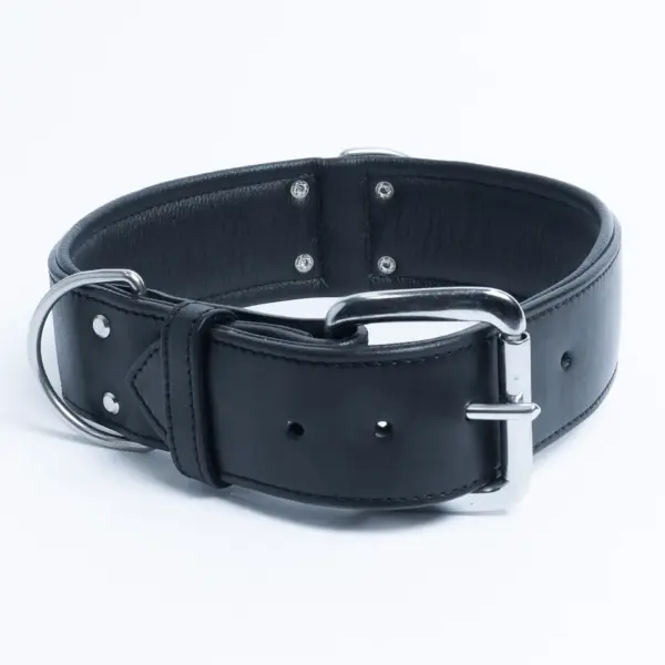 Dallas Collar - Image 25