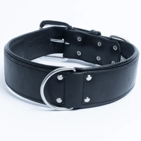 Dallas Collar - Image 26