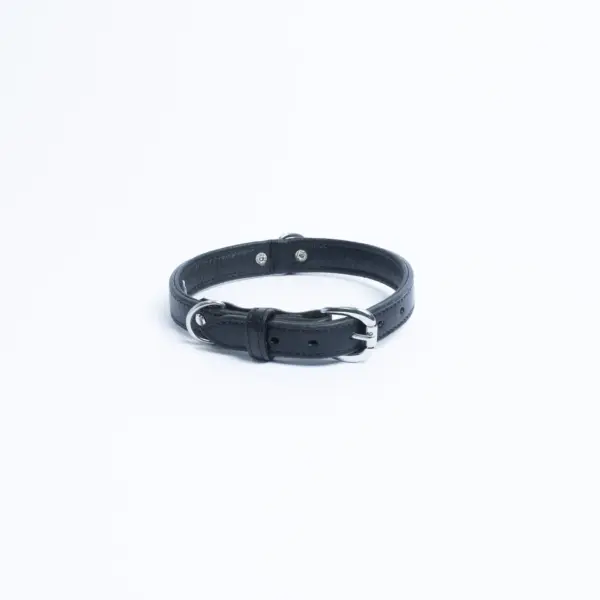 Dallas Collar - Image 28