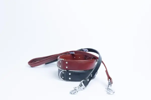 Dallas Collar - Image 30