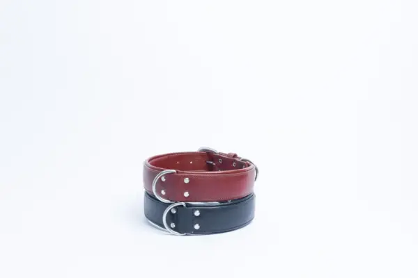 Dallas Collar - Image 31