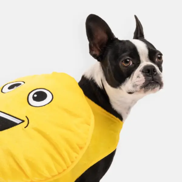 Happy Face Dog Costume Plush Smiley Outfit for Dogs