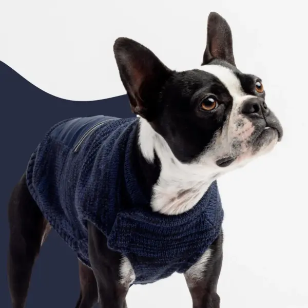 Mia Dog Sweater Cozy Blue Knit Pullover with Poop Bag Dispenser