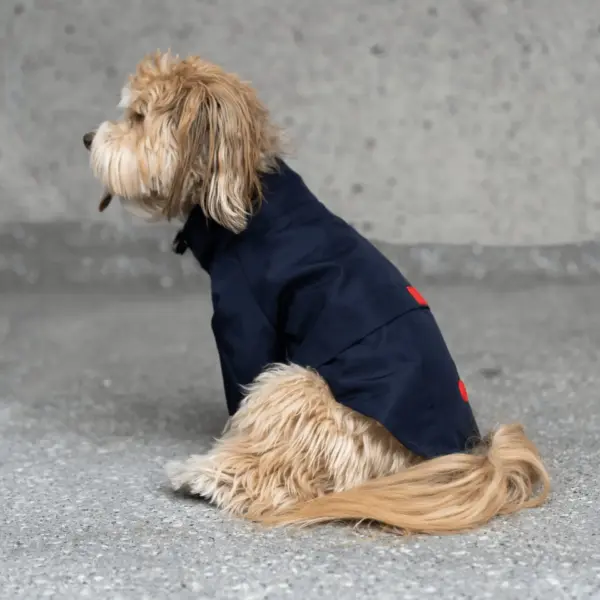 Jean-Paul Dog Raincoat High Neck Waterproof Jacket with Adjustable Collar & Poop Bag Dispenser - Image 6