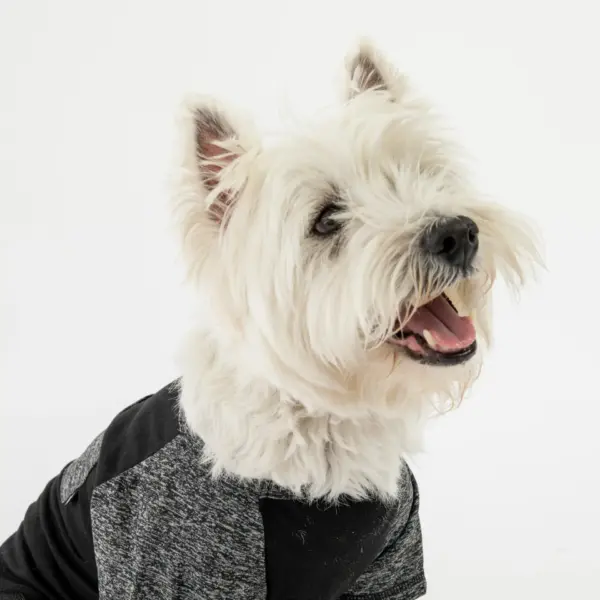 Urban Fit Dog Tee Black Athletic T-Shirt with Pocket & Raglan Sleeves