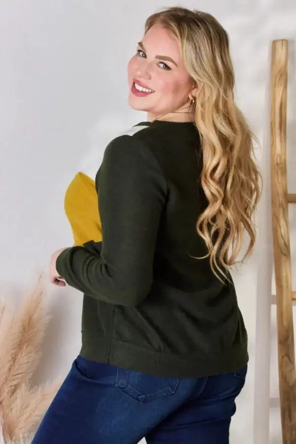 Hailey & Co Full Size Colorblock V-Neck Blouse - Image 9